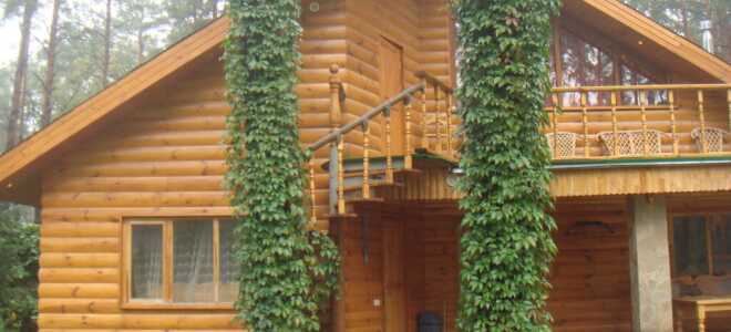 Деревянный блок-хаус — назад к природе