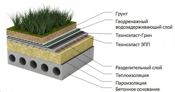 Устройство "зеленой" эксплуатируемой кровли