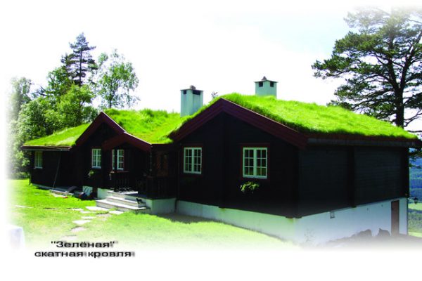 Экстенсивная эко-крыша